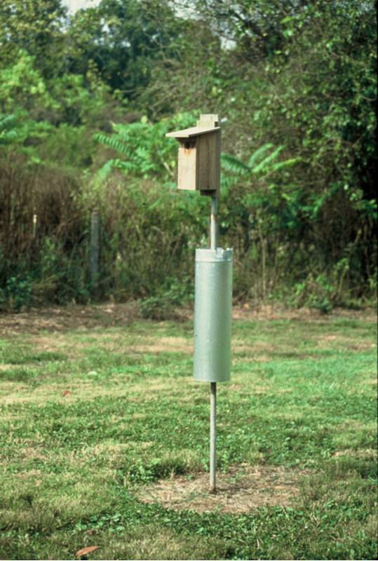 pipe baffle